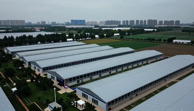 企业管理系统性能表现与适用场景分析